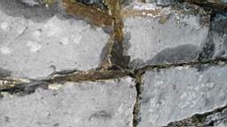 acastle
                          104740.jpg